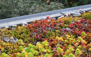the cost of Whins Of Milton green roof installation