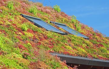 Whins Of Milton living roof systems