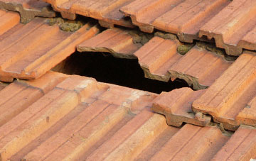 roof repair Whins Of Milton, Stirling