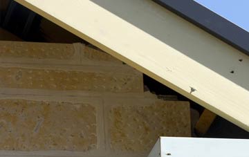 soffit repair Whins Of Milton
